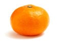 Deanesmay-orange.jpg