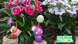 Promotional image for the return of the Flower Card Decor Pikmin