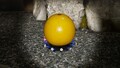 The treasure being carried by multiple Blue Pikmin.