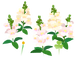 Texture for white snapdragon flowers on the map in Pikmin Bloom.