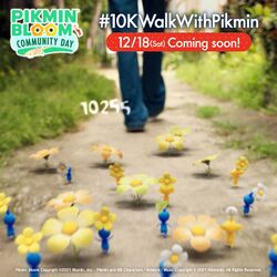Social media promotional graphic for Pikmin Bloom's second Community Day.