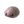Icon for the Female Sheargrub, from Pikmin 3 Deluxe&#39;s Piklopedia.
