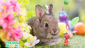 Promotional image for the 2025 Easter Event in Pikmin Bloom.