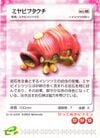 This is the Decorated Cannon Beetle E-card.