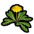 The Piklopedia icon of the Dandelion in the Nintendo Switch version of Pikmin 2.