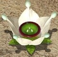 The Candypop Bud for White Pikmin in Pikmin 3.