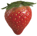 Fruit (Pikmin 3)