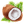Tropical Coconut