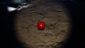 The treasure in The Mud Pit, roughly in the location is it discovered. It is originally inside of a hydro jelly.