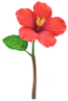 Red hibiscus Big Flower icon in Pikmin Bloom.