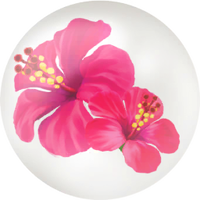 Red hibiscus nectar icon.png