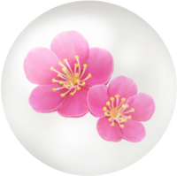 Red plum blossom nectar icon.png