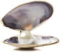 Real life clam pearl.
