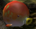 A Withering Blowhog in Pikmin 2's Piklopedia.