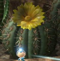 Cactus with yellow flower.png