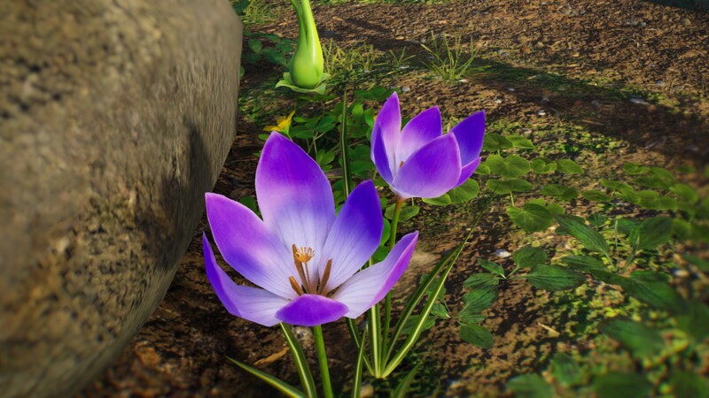 File:Colchicum.jpg