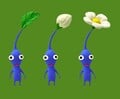 The three stages of a Blue Pikmin's maturity.