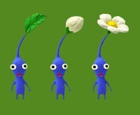 The three stages of Blue Pikmin.