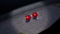 The two treasures each being carried by a pair of Blue Pikmin.
