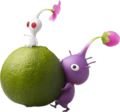 Purple-and-white-pikmin-with-zest-bomb.png