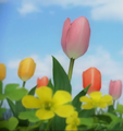 A screenshot from the credits of Pikmin 3 showing different tulips.