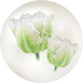 White parrot tulip nectar from Pikmin Bloom.