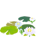 Texture for White water lily flowers on the map in Pikmin Bloom.