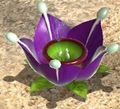A Violet Candypop Bud in Pikmin 3.