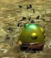 Yellow wollywog breaking out of petrification.jpg