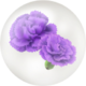 In-game icon for blue carnation nectar.