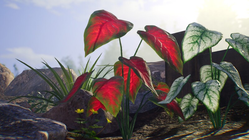 File:Elephant ear.jpg