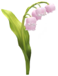 Red lily of the valley/convallaria big flower in Pikmin Bloom