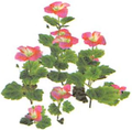 Artwork of the Figwort from Pikmin 2.
