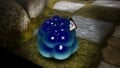 An alternative, more close-up, shot of the treasure in the location it is discovered, inside of a hydro jelly.