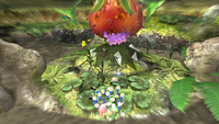Page 2 of the tenth unique hint in the Garden of Hope in Pikmin 3 Deluxe.