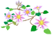 Texture for white clematis flowers on the map in Pikmin Bloom.