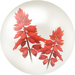 Red salvia nectar from Pikmin Bloom.