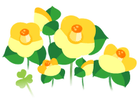 Yellow camellia flowers icon.png