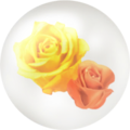 Yellow rose nectar.
