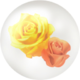 Yellow rose nectar from Pikmin Bloom.