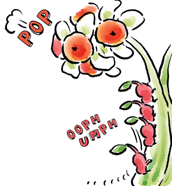 File:P4 Comic Burgeoning Spiderwort.png