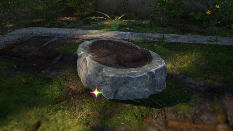 File:P4 Slipper-Bug Fossil closeup.jpg