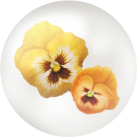 Yellow pansy nectar icon.png