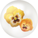 Yellow pansy nectar from Pikmin Bloom