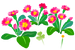 Texture for red primrose flowers on the map in Pikmin Bloom.