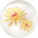 Yellow orchid cactus nectar from Pikmin Bloom.