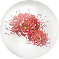 Red spider lily nectar icon.png