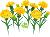 Yellow carnation flowers icon.png