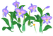 In-game texture for blue cattleya flowers on the map.