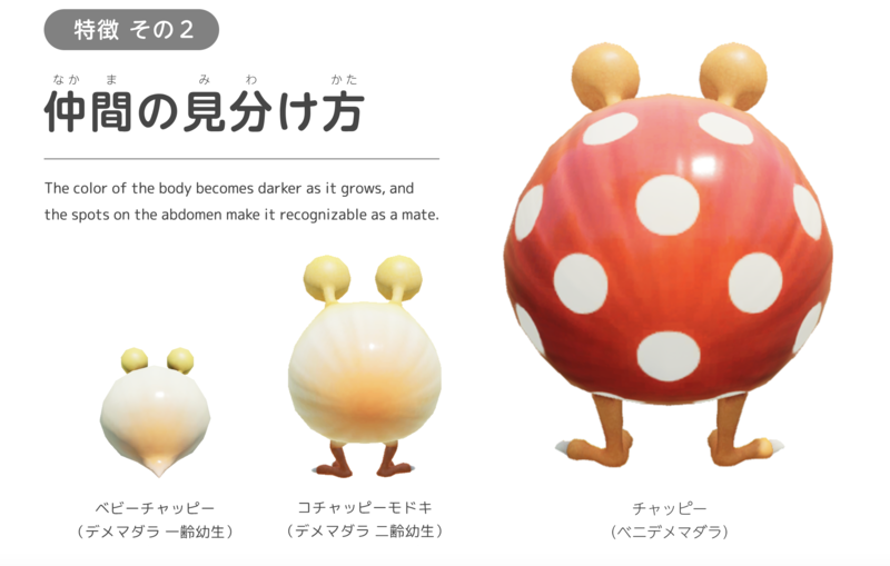 File:Bulborb evolution.png